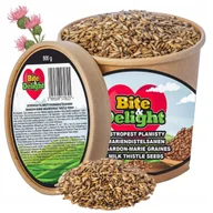 Ziarna i nasiona roślin strączkowych - Ostropest plamisty ziarno 500g na wątrobę na oczyszczenie świeży eko pack - miniaturka - grafika 1