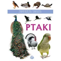 BOOKS Zwierzęta świata Ptaki - Praca zbiorowa - Encyklopedie i leksykony - miniaturka - grafika 1