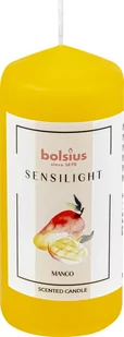 Świeca pieńkowa walec BOLSIUS Sensilight 24H 11CM MANGO - Świece - miniaturka - grafika 1