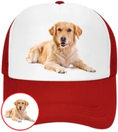Czapki i chusty sportowe męskie - CZAPKA Z DASZKIEM PSY PIES PIESKI DLA DZIECI SIATKA CZERWONA BEJSBOLÓWKA - miniaturka - grafika 1