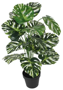 SPLENDID Monstera Variegata sztuczna w doniczce 85 cm - Sztuczne kwiaty - miniaturka - grafika 1