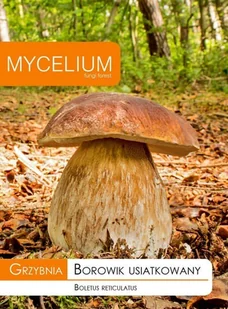Grzybnia Borowik usiatkowany 10 g - Nasiona i cebule - miniaturka - grafika 1