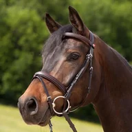 Akcesoria jeździeckie - KIEFFER Ogłowie z nachrapnikiem angielskim kombinowanym Ergonomic Event - miniaturka - grafika 1