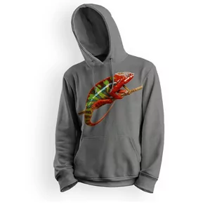 Bluza dziecięca z kapturem kameleon-104 - Bluzy dla dziewczynek - miniaturka - grafika 1
