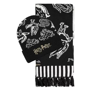 Harry Potter - Domy Hogwartu - zestaw prezentowy - Gadżety dla graczy - miniaturka - grafika 1