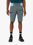 Buty trekkingowe damskie - Spodenki turystyczne Vaude Tekoa Shorts III - heron uni - miniaturka - grafika 1