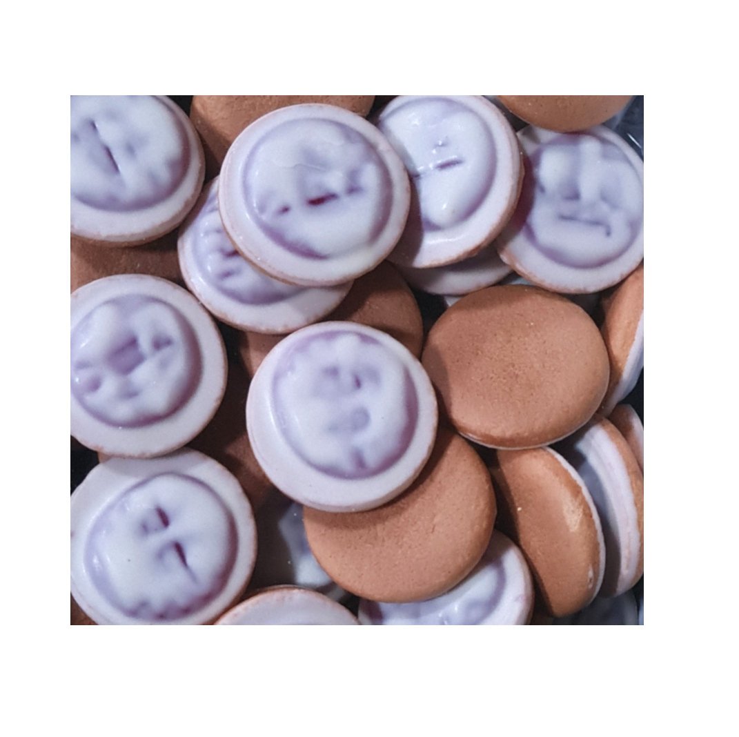 Ciastka BISZKOPTY Z GALARETKĄ Delicje Smak Wiśni W BIAŁEJ