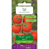 Nasiona i cebule - Pomidor wysoki Agent F1 nasiona W.Legutko - miniaturka - grafika 1