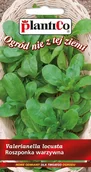 Nasiona i cebule - NASIONA Roszponka Warzywna 1g PLANTICO Całoroczna 404816 - miniaturka - grafika 1