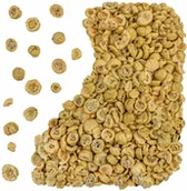 Warzywa świeże i suszone - Agrest liofilizowany - miniaturka - grafika 1