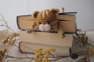 Zakładki do książek - Zakładka do Książki Rudy KOTEK - miniaturka - grafika 1