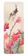 Akcesoria łazienkowe - Kleine Wolke Kolibri Mata bezpieczeństwa do wanny Multicolor 36x 92 cm - miniaturka - grafika 1