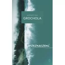 Wydawnictwo Literackie Przeznaczeni - Katarzyna Grochola - Literatura obyczajowa - miniaturka - grafika 1