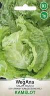 Nasiona i cebule - Sałata Krucha Kamelot 1g nasiona - WegAna - miniaturka - grafika 1