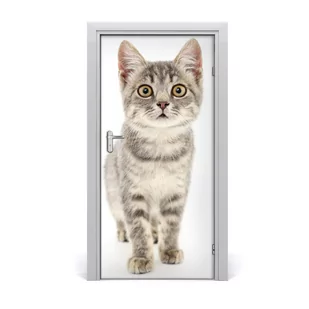 Naklejka samoprzylepna na drzwi ścianę Szary kot, Tulup - Naklejki na ścianę - miniaturka - grafika 1