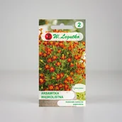 Nasiona i cebule - Aksamitka wąskolistna Red Gem Czerwona 0,3g - Nasiona - W. Legutko - miniaturka - grafika 1