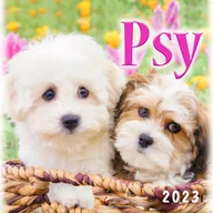 Kalendarze - Kalendarz 2023 Wieloplanszowy Psy ARTSEZON - miniaturka - grafika 1