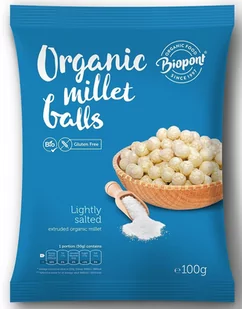 Bio BIOPONT (chrupki bezglutenowe) CHRUPKI JAGLANE DELIKATNIE SOLONE BEZGLUTENOWE 100 g - BIOPONT BP-5998858703882 - Inne przekąski suche - miniaturka - grafika 1