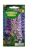 Nasiona i cebule - Ostróżka trwała Pacific mieszanka 1 g POLAN - miniaturka - grafika 1