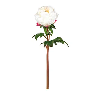 EUROCINSA Ref.34640C01 piwonia, pudełko z 6 sztukami, białe, 55 cm - Sztuczne kwiaty - miniaturka - grafika 1