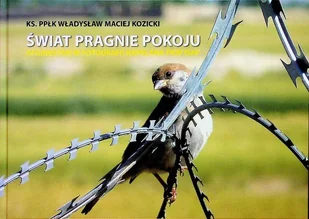 Świat pragnie pokoju - Książki o kulturze i sztuce - miniaturka - grafika 1