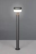 Lampy ogrodowe - Mackenzie H95 lampa stojąca ogrodowa 1xLED/8W/IP54 antracyt 430561142 - miniaturka - grafika 1