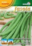 Nasiona i cebule - Fasola zwykła karłowa Saxa 20g / L / - miniaturka - grafika 1