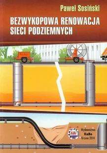 Bezwykopowa renowacja sieci podziemnych - Sosiński Paweł - Biznes - miniaturka - grafika 1