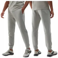 Dresy męskie - SPODNIE dresowe męskie 4F TRENINGOWE joggery sportowe 4F szare TTROM645 3XL - miniaturka - grafika 1