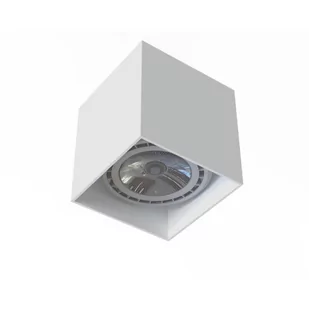 Nowodvorski Lampa sufitowa punktowa spot COBBLE I 10W GU10 ES111 75W biały 7791 - Lampy sufitowe - miniaturka - grafika 1