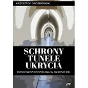 Historia świata - Schrony, tunele, ukrycia - miniaturka - grafika 1