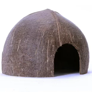 Terrario Cococave L - Połówka Kokos Gładki - Dekoracje do terrarium - miniaturka - grafika 1