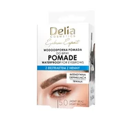 Pomada do brwi - Delia Cosmetics Eyebrow Expert wodoodporna pomada do brwi 5.0 Jasny Brąz 7 g - miniaturka - grafika 1