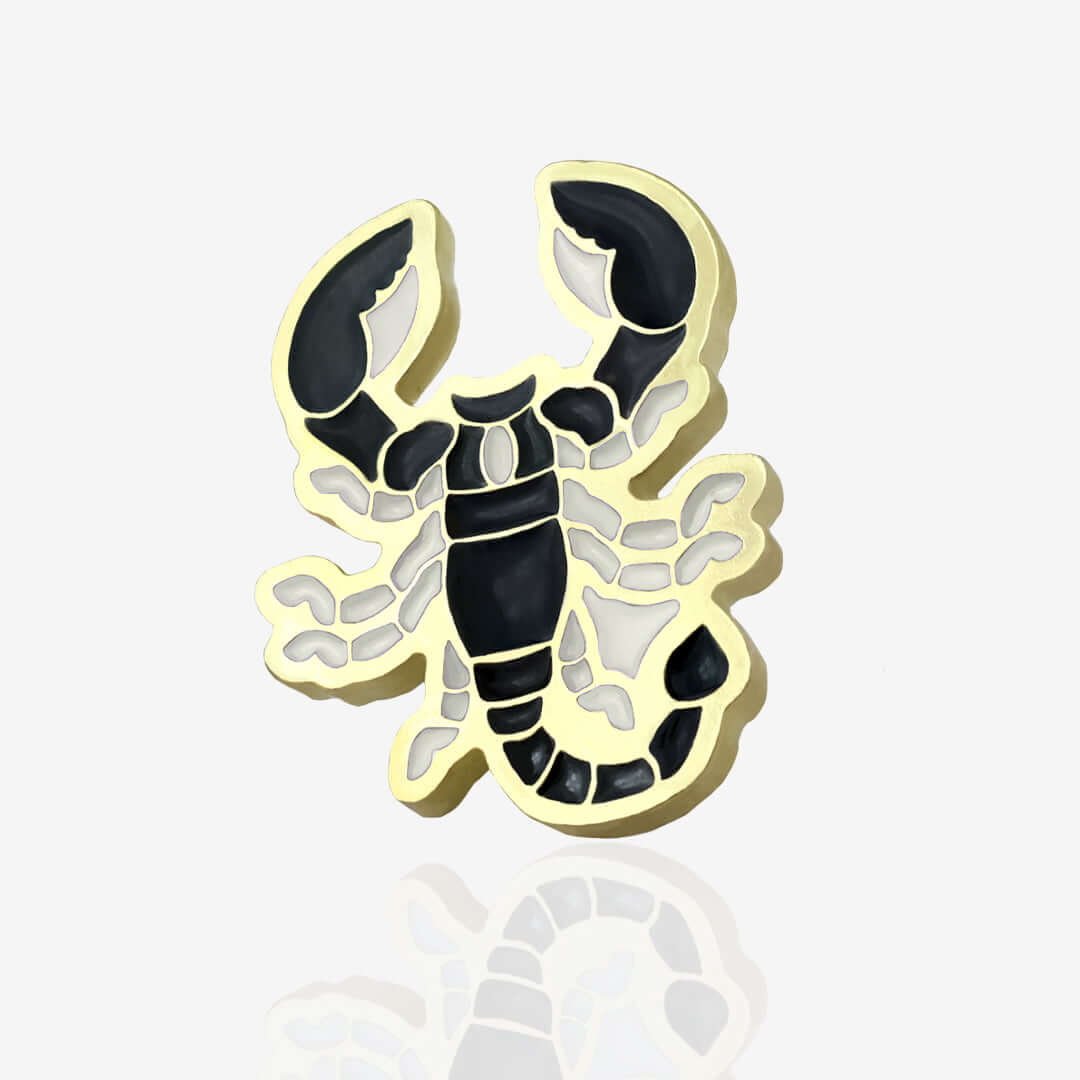 Pins znak zodiaku 