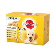 Pedigree Junior mix smaków w galaretce 12x100g 21157-uniw