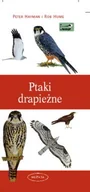 Poradniki hobbystyczne - Ptaki drapieżne. Przewodnik - miniaturka - grafika 1