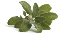 Akcesoria jeździeckie - EQUIHERBS Szałwia 0,5 kg - miniaturka - grafika 1