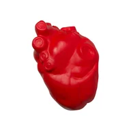 Zabawki sensoryczne - Serce Anatomiczne Gniotek Antystresowy z Pianki - miniaturka - grafika 1