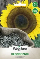 Nasiona i cebule - Slonecznik ogrodowy 10g nasiona - WegAna - miniaturka - grafika 1