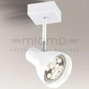 Lampy sufitowe - Shilo plafon reflektorek) Mima ES111 biały 7267 - miniaturka - grafika 1