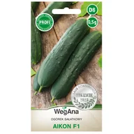 Nasiona i cebule - Ogórek sałatkowy Aikon F1 mieszaniec nasiona 0,5g - WegAna - miniaturka - grafika 1