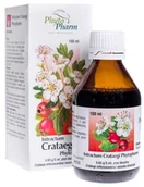 Serce i układ krążenia - PhytoPharm Intractum Crataegi 100 ml - miniaturka - grafika 1