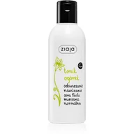Toniki i hydrolaty do twarzy - Ziaja TONIK OGÓRKOWY 200ml - miniaturka - grafika 1