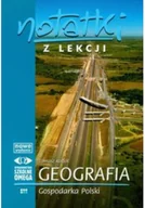 Felietony i reportaże - Notatki z lekcji Geografia Gospodarka Polski - miniaturka - grafika 1