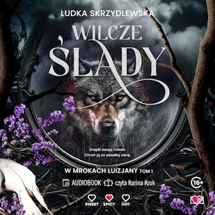 Wilcze ślady. W mrokach Luizjany. Tom 1 Ludka Skrzydlewska - Audiobooki - romanse Wilcze ślady. W mrokach Luizjany. Tom 1 Ludka Skrzydlewska - Audiobooki - romanse - miniaturka - grafika 1