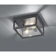 Lampy sufitowe - Trio Garonne IP44 Lampka sufitowa zewnętrzna 601860242 - miniaturka - grafika 1