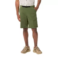 Spodenki męskie - Krótkie spodenki męskie Jack Wolfskin WANDERTHIRST SHORTS M greenwood - 46 - miniaturka - grafika 1