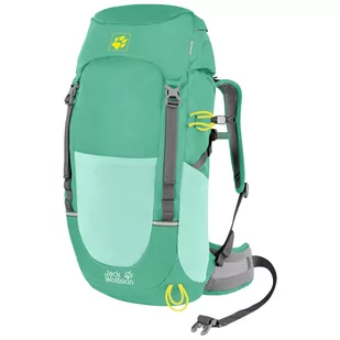 Jack Wolfskin Pioneer 22 Pack Backpack Kids, zielony 2022 Plecaki szkolne i turystyczne 2008222-4071-OS - Plecaki - miniaturka - grafika 3