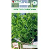 Nasiona i cebule - Lubczyk ogrodowy VI-IX W.Legutko - miniaturka - grafika 1