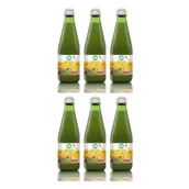 Soki i napoje niegazowane - Bio Food Sok z imbiru Zestaw 6 x 300 ml Bio - miniaturka - grafika 1